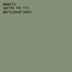 #858F75 - Battleship Gray Color Image
